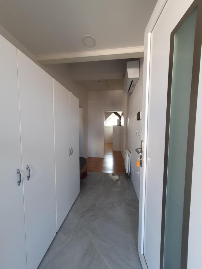 Charming Apartment Mila In Privat House With Free Parking Ljubljana Buitenkant foto